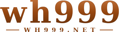 wh999 logo